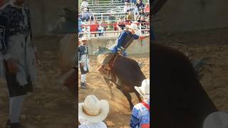 Bull riding TKO [upl. by Yerffoj]