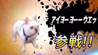 変わった鳴き声の犬 全員参戦！【イッヌ】 [upl. by Heaps373]