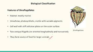 Biological Classification Part 3 SATHEEMED swayamprabha medicalentranceexam [upl. by Ynned]