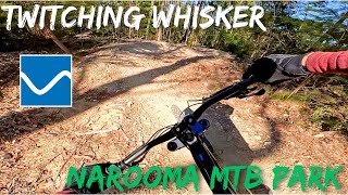 Twitching Whisker  Narooma MTB Park NSW [upl. by Stanford400]