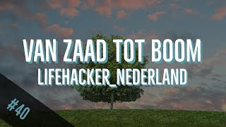 40 DIY appelboom kweken  VAN ZAAD TOT BOOM deel 1 [upl. by Laresa292]