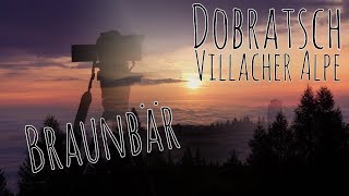 Dobratsch  Villacher Alpe  Braunbär Der Tag beginnt Timelapse [upl. by Samot]