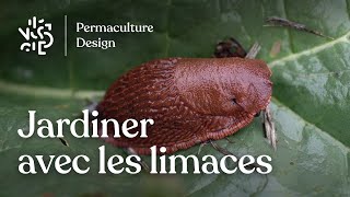 Jardiner avec les limaces et les escargots [upl. by Sugar]