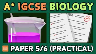 IGCSE Biology  How to get an A in papers 5 and 6 practicalalternative to practical [upl. by Nogaem]