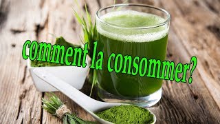 comment consommer la spiruline [upl. by Enined]