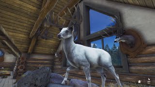 Taking Down Ghost The Albino 5 Star Whitetail  Way of the Hunter [upl. by Ainesey]