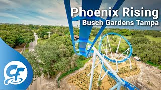 Phoenix Rising front seat onride 5K POV 60fps Busch Gardens Tampa [upl. by Enasus]