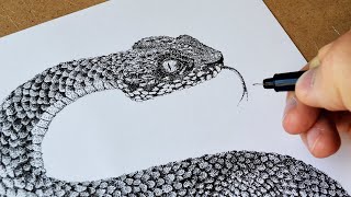 Snake Drawing With Dots  Stippling Technique [upl. by Edmead371]