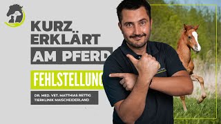 FEHLSTELLUNGEN  X und OBeinigkeit beim Fohlen Frühzeitige Diagnose kurz erklärt am Pferd [upl. by Liagiba174]