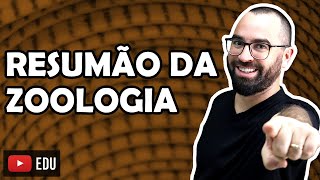 Resumão Zoologia  Apêndice 01  Módulo VI Embriologia e Zoologia  Prof Gui [upl. by Mccollum]