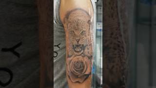 Leopardo tattoo rosa [upl. by Needan402]