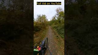 Rasante Abfahrt im Harz Mountainbike im Nordharz [upl. by Dunson]