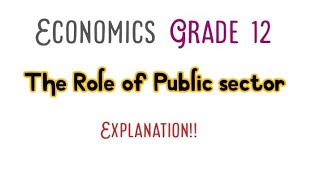 Economics Grade 12 Public sector [upl. by Ariet944]