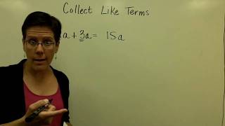 12  Introductory Algebra  Collect Like Terms [upl. by Anoval]