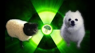 Imagine Doggos  Radioactive [upl. by Ynohtnaed604]