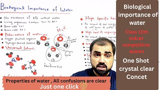 Biological importance of water  properties of water  class 11 biology  in Urdu Hindi medium [upl. by Acinorrev]