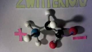 Zwitterion Stopmotion Take two [upl. by Ybrik]