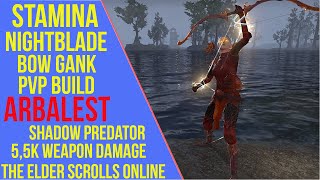 ESO Stamina Nightblade Bow Gank PVP Build  Arbalest  Stamblade PVP Build Markarth [upl. by Margaret418]