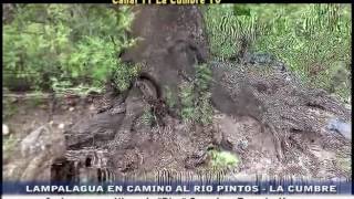 ENORME LAMPALAGUA EN CAMINO AL RIO PINTOS [upl. by Ybur]