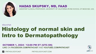 DERMPATH Histology of Normal Skin and Intro to Dermatopathology [upl. by Yesak]