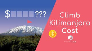 How Much Does It Cost To Climb Mt Kilimanjaro  💰 [upl. by Enoid]