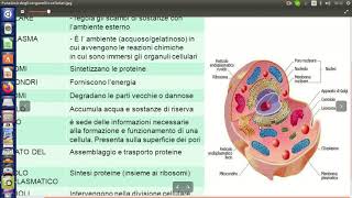 La cellula struttura e funzioni degli organuli cellulari [upl. by Tewfik78]