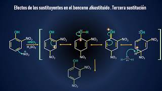 TERCERA SUSTITUCIÓN EN BENCENOS DISUSTITUIDOS [upl. by Chas]