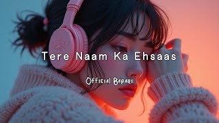 Tere Naam Ka Ehsaas Song  Slowed  Revered    Lofi Song   Official Bapari [upl. by Linson]