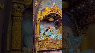 Mere banke bihari lal bankebihari vrindavan krishna shorts [upl. by Anaeerb]