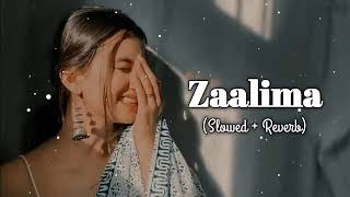 Zaalima Slow and Reverb Song Listen Now youtube song punjabisonglofi [upl. by Tlihcox709]