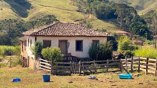 FARINHA DE MILHO DE MONJOLO E A CASA DE 200 ANOS  ALAGOA MG [upl. by Dnamra526]