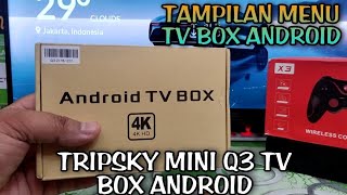 tampilan menu tv box android tripsky mini q3 [upl. by Auqenat]