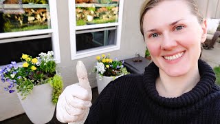 Spring Flower Pots Planting a Combo Tree and more  Gardening Zone 9b [upl. by Rosie]