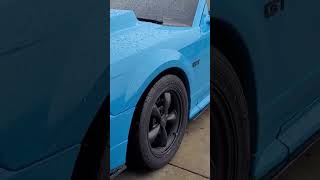 GRABBER BLUE NEW EDGE MUSTANG makingmustangsgreatagain automobile mustangsociety fordmustang [upl. by Ledniahs]