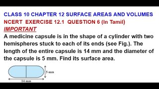 CLASS 10  CH 12 SURFACE AREAS AND VOLUMES  EXERCISE 121  QUESTION 6  MrsDB  In Tamil [upl. by Eluj]