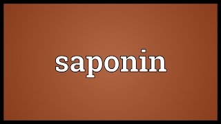 Saponin Meaning [upl. by Anoed]