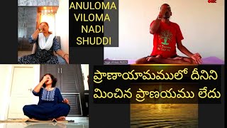 ANULOMA VILOMA PRANAYAM  NADI SHUDDI  UNLIMITED BENEFITS PRANAYAM  SWAMI VIVEKANANDA YOGA [upl. by Ecaroh665]