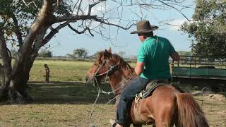 quotLos Elementos Sagrados del Llanero Sombrero Caballo Silla y Aperosquot [upl. by Nnaharas]