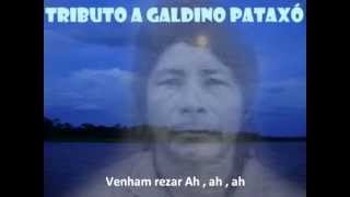 Tributo a Galdino Pataxó [upl. by Brechtel]