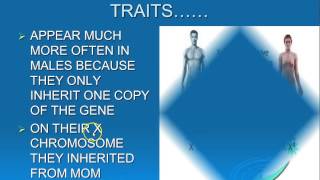 X Linked Traits Video VI [upl. by Griffith]