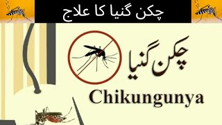 Chikungunya Treatment At Home  Chickungunya  Fever And Joint Pain  Chickungunya Virus [upl. by Nwahsad967]