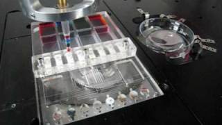 quotDisposable Pumpquot for Microfluidic Systems [upl. by Cassy331]