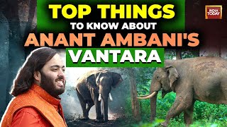 Why Anant Ambani built quotVantaraquot a 3000 acre animal rescue and rehab centre [upl. by Carthy]