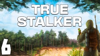 STALKER True Stalker 6 Свалка [upl. by Valene89]