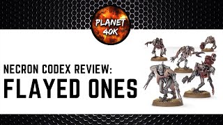 Necron FLAYED ONES REVIEW  New 9th Edition Codex  Warhammer 40k [upl. by Esma]