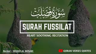 HEART SOOTHING RECITATION  Surah Fussilat Yasser Al Dosari Recitation  Quran Verses Quotes [upl. by Nonnaihr]