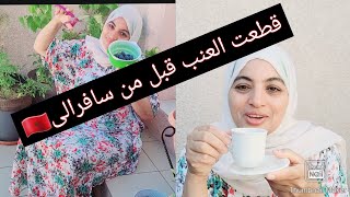 حلفت عليه منخليه اورايا✈️تغذبت عليه ودابة كناكل غلتو [upl. by Desdee]