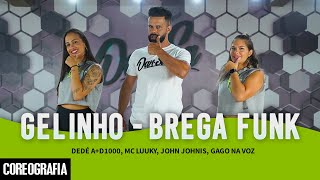 GELINHO  BREGA FUNK  Dedé AD1000 Mc Luuky John Johnis Gago Na Voz  DanSa Coreografia [upl. by Bac]