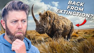 6 Extinct Animals That Could Actually Come Back [upl. by Septima]