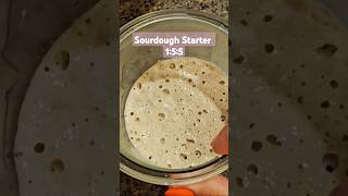 Sourdough starter Recipe [upl. by Adas]